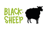 Blacksheep Campervan Rental